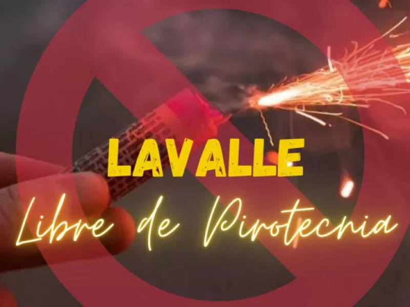 Por unas Fiestas para todos: Pirotecnia Cero