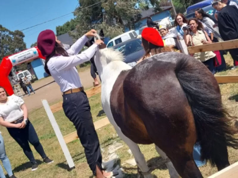 9° edición de la Fiesta de la Mujer Rural: Abierta la inscripción para puestos