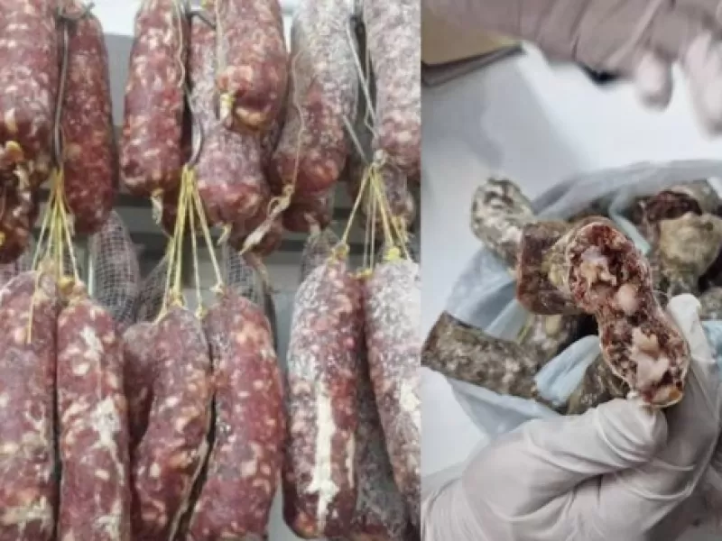 Alerta por triquinosis: Recomiendan extremar cuidados en el consumo de carne y chacinados