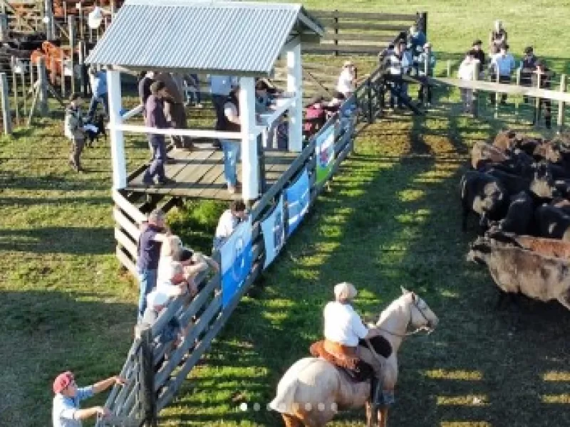 3&deg; Gran Remate &ldquo;Ternero del Tuy&uacute;&rdquo;