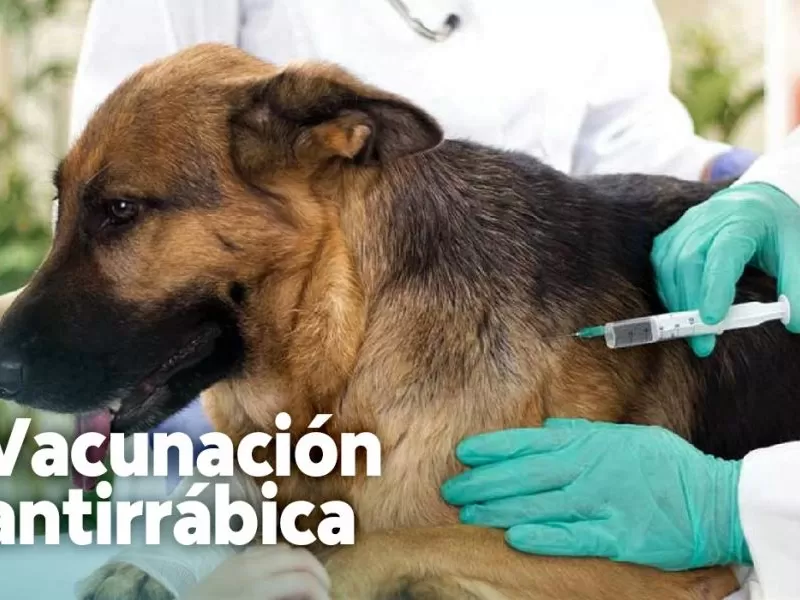 La campa&ntilde;a de vacunaci&oacute;n antirr&aacute;bica gratuita llega a zona centro del Partido de La Costa