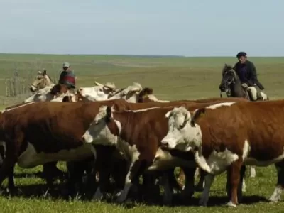 General Lavalle ser&aacute; sede de una Jornada de Econom&iacute;a Ganadera